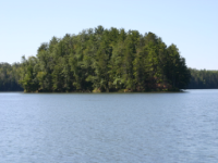 img_4990.jpg
